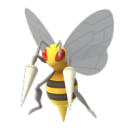 Beedrill