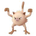 Mankey