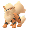 Arcanine