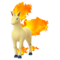 Rapidash