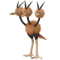 Dodrio