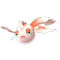 Goldeen