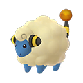 Mareep