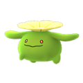 Skiploom