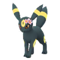 Umbreon