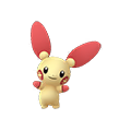 Plusle