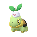 Turtwig