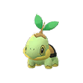 Turtwig