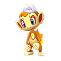 Chimchar