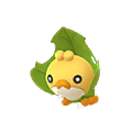 Sewaddle