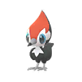 Pikipek