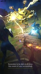 Trainer Battles 