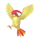 Pidgeotto