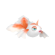 Goldeen