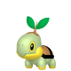 Turtwig