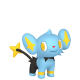 Shinx (Female)