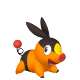 Tepig