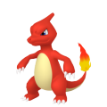 Charmeleon in Pokémon HOME