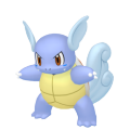 Wartortle in Pokémon HOME