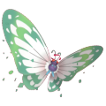 Butterfree in Pokémon HOME