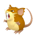 Female Raticate