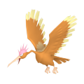 Fearow in Pokémon HOME