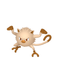 Mankey in Pokémon HOME