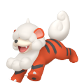 Growlithe in Pokémon HOME