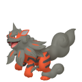 Arcanine in Pokémon HOME