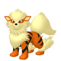 Arcanine in Pokémon HOME