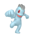 Machop in Pokémon HOME