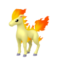 Ponyta in Pokémon HOME