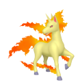 Rapidash in Pokémon HOME