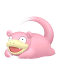 Slowpoke in Pokémon HOME