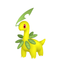 Bayleef in Pokémon HOME