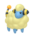 Mareep Image