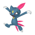 Sneasel in Pokémon HOME