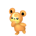 Teddiursa in Pokémon HOME