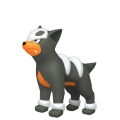 Houndour in Pokémon HOME