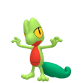 Treecko in Pokémon HOME