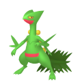 Sceptile in Pokémon HOME