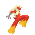 Female Blaziken