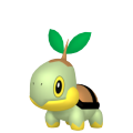 Turtwig in Pokémon HOME