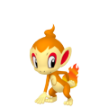 Chimchar in Pokémon HOME