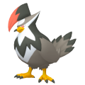 Staraptor in Pokémon HOME