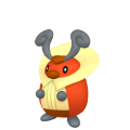 Female Kricketot