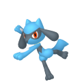Riolu Image
