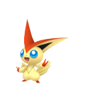 Victini in Pokémon HOME