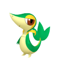 Snivy in Pokémon HOME