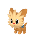 Lillipup in Pokémon HOME